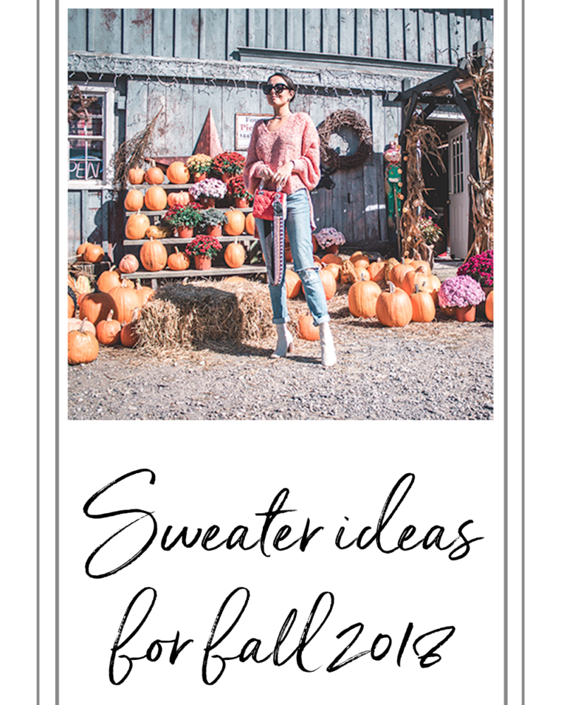 Cozying up for Fall: Stylish Sweaters to Transition