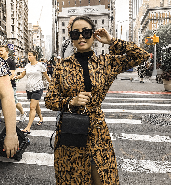 fall 2018 trends snake print