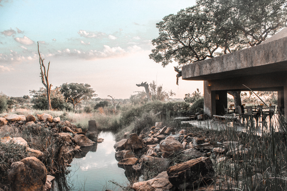 sabi-sabi earth lodge best hotels