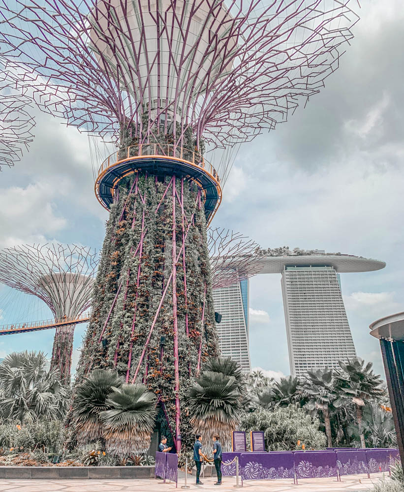 gardens by the bay supertrees singapore