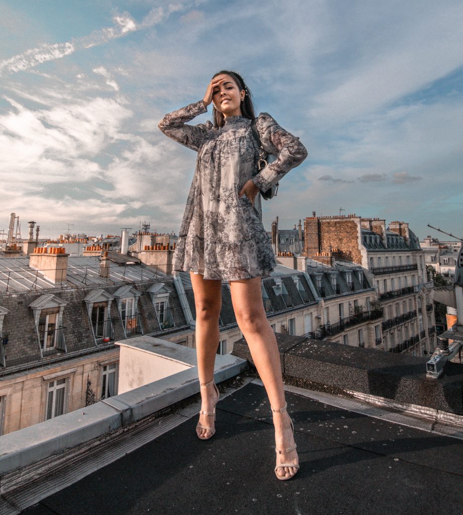 paris rooftops