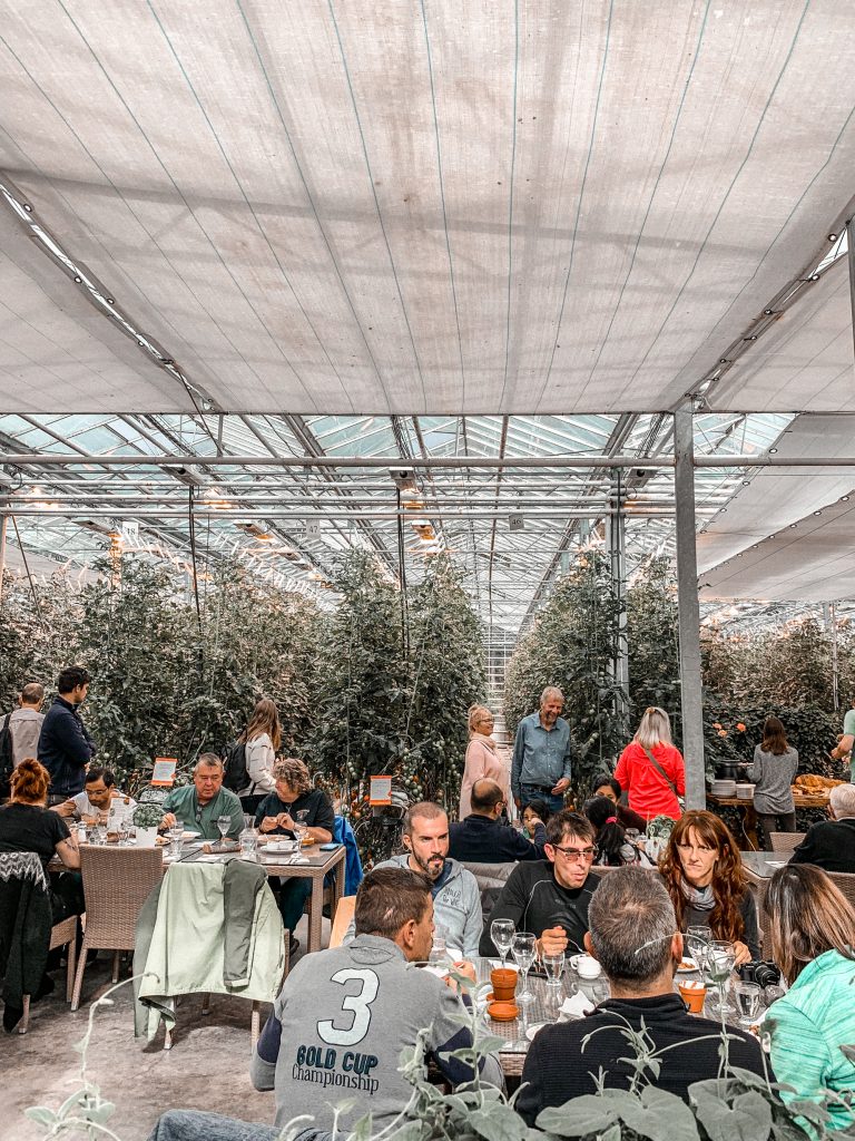 golden circle iceland restaurants